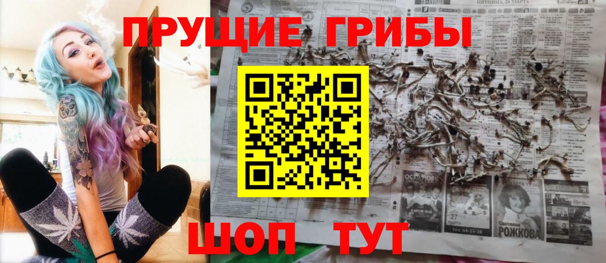 Псилоцибиновые грибы GOLDEN TEACHER  Вход с VPN  Сертолово 
